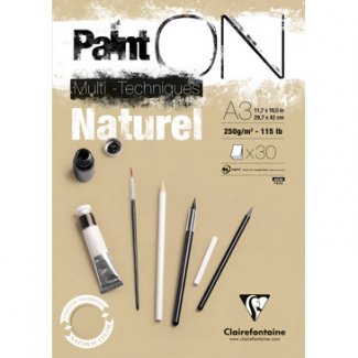 PAINT´ON BLOCO  CLAIREFONTAINE  A4 24FLS 250GR SORT.