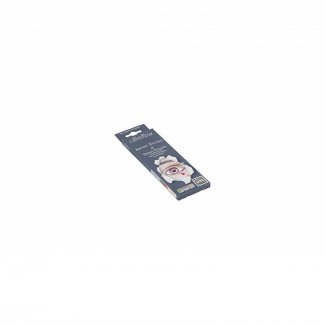 ARTIST STUDIO PASTEL SETS PORTRAIT  8 CORES  CRETACOLOR