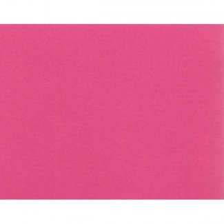 CARTOLINA CANSON LISA A4 FUCHSIA 185 GRS - Nº11