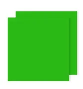 CARTOLINA CANSON LISA A4 VERDE BILHAR 185 GRS  - Nº29