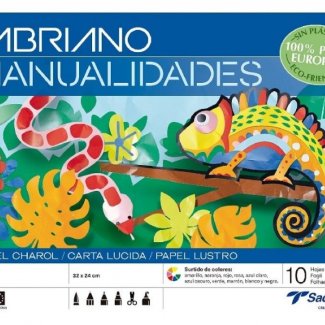 BLOCO MANUALIDADES PAPEL LUSTRO - SORTIDO 10 CORES