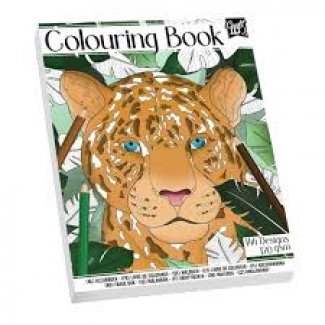 LIVRO COLORIR 72 FLH 120 GR