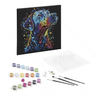 PINTAR POR NUMEROS QUADRO NEGRO - CAO 30X30