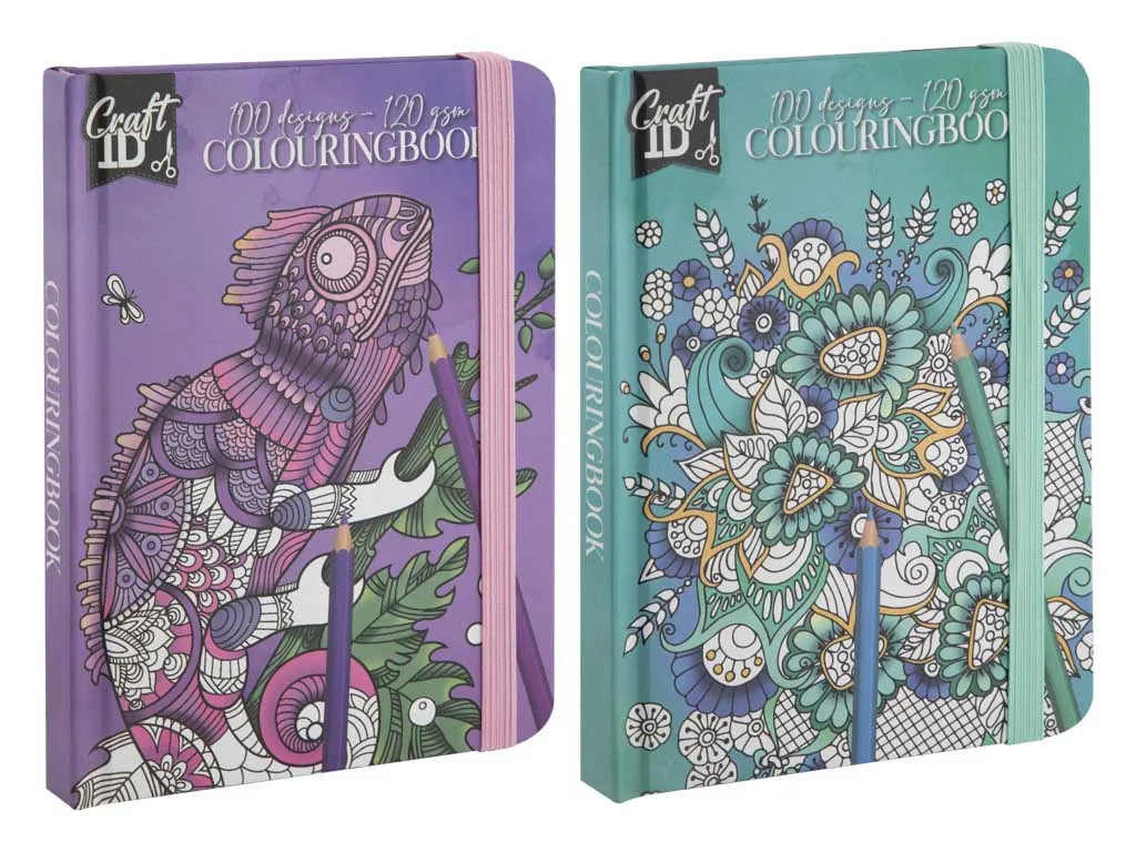 LIVRO COLORIR 50 pag 12X16X1,3 CM